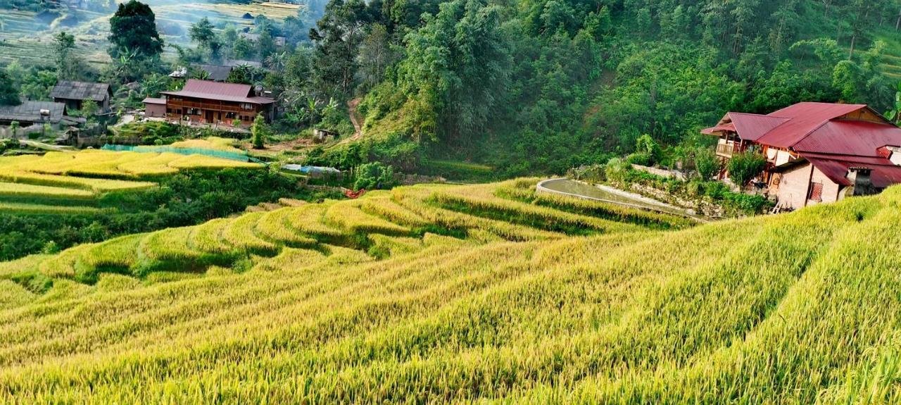 Madame View Homestay Sapa Exteriör bild