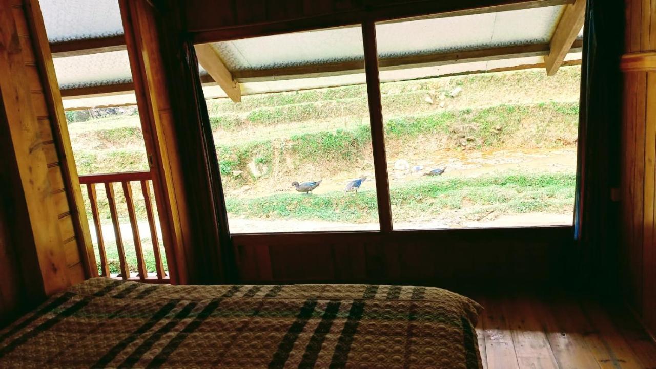 Madame View Homestay Sapa Exteriör bild